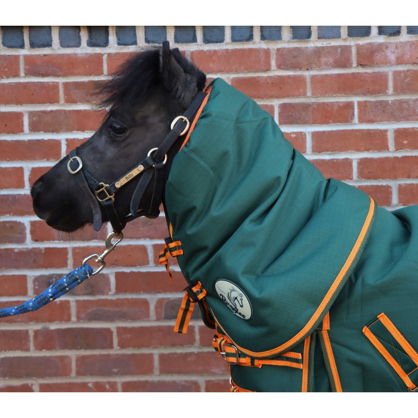 Shetland-Miniature-Donkey 400g V2 Neck Cover Only (Matching Rug Available Separately)