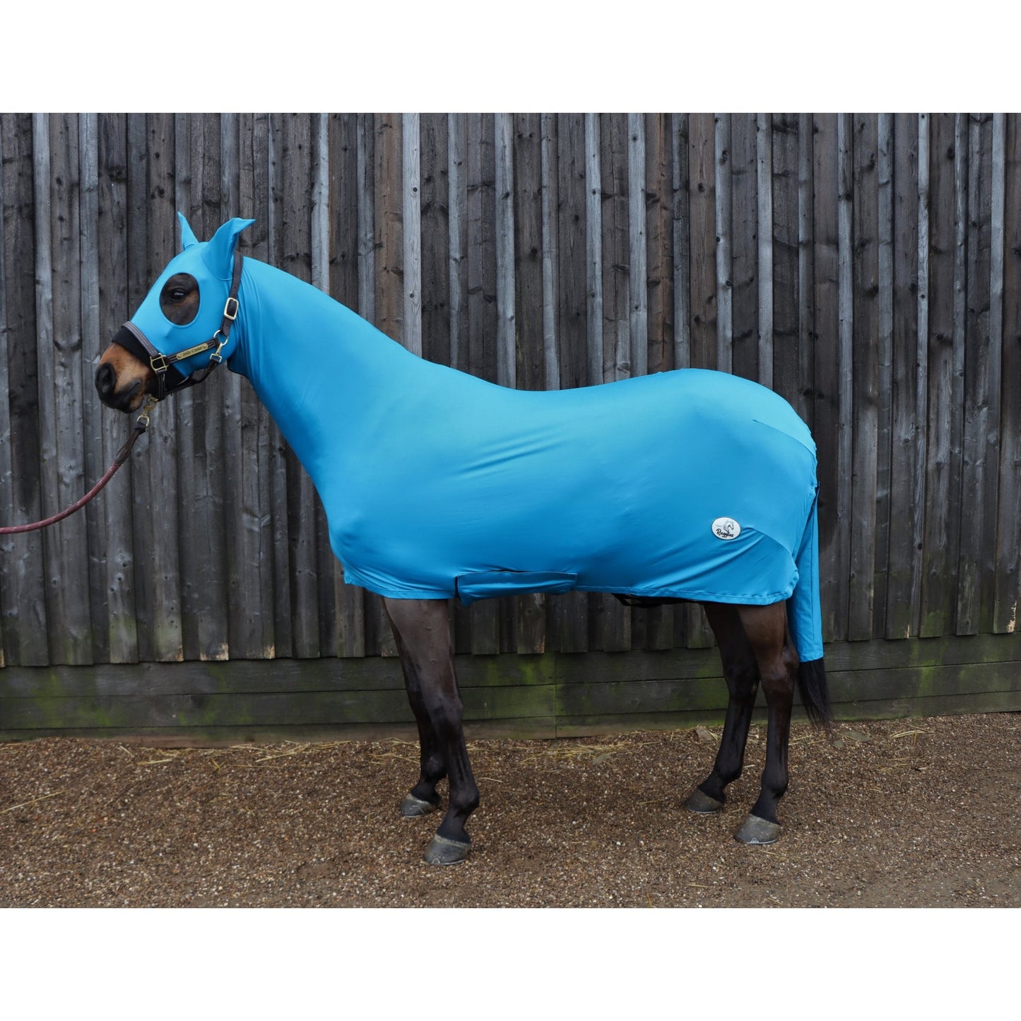 Lycra Body Suit With Detachable Tail Sleeve