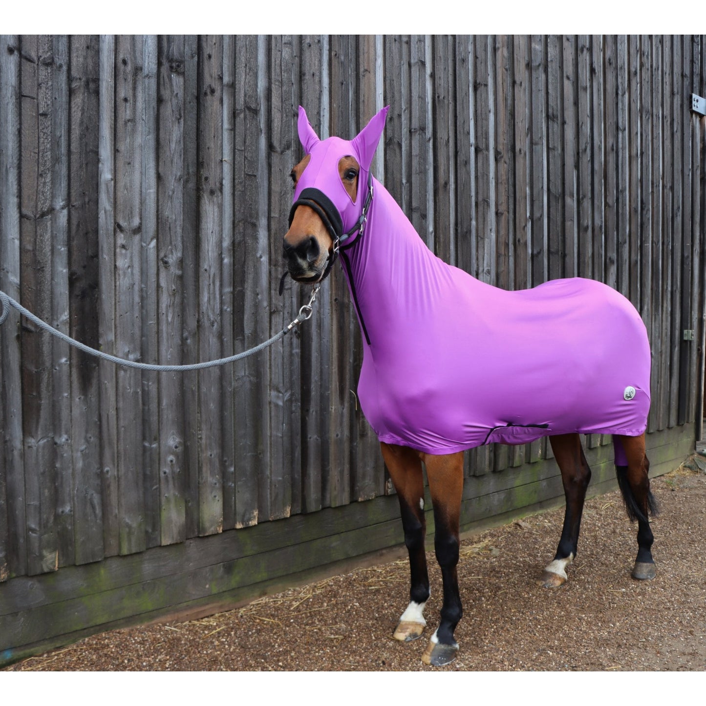 Lycra Body Suit With Detachable Tail Sleeve