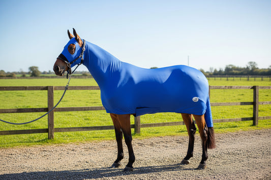Lycra Body Suit With Detachable Tail Sleeve