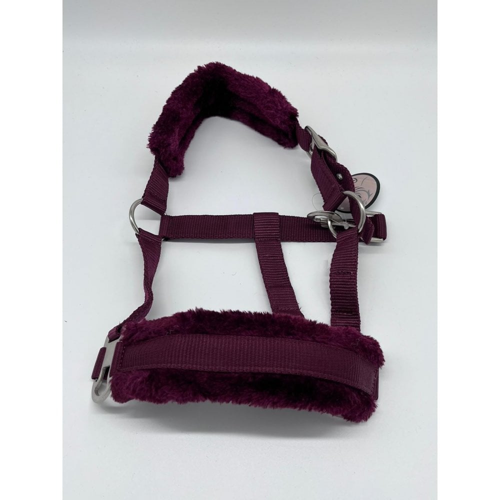 Horse and Pony Head Collar With Matching Fur