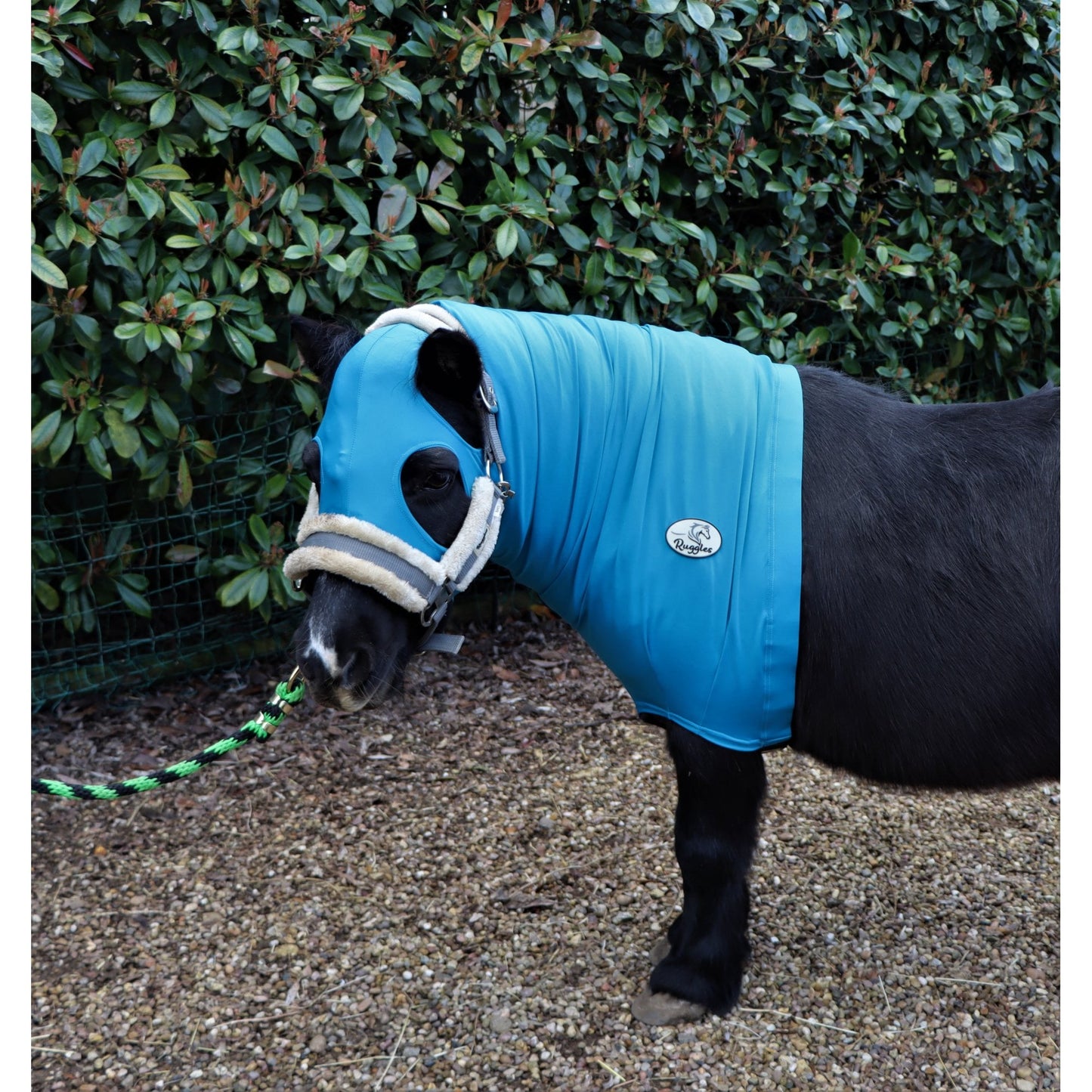 Shetland Lycra Hood With Zip