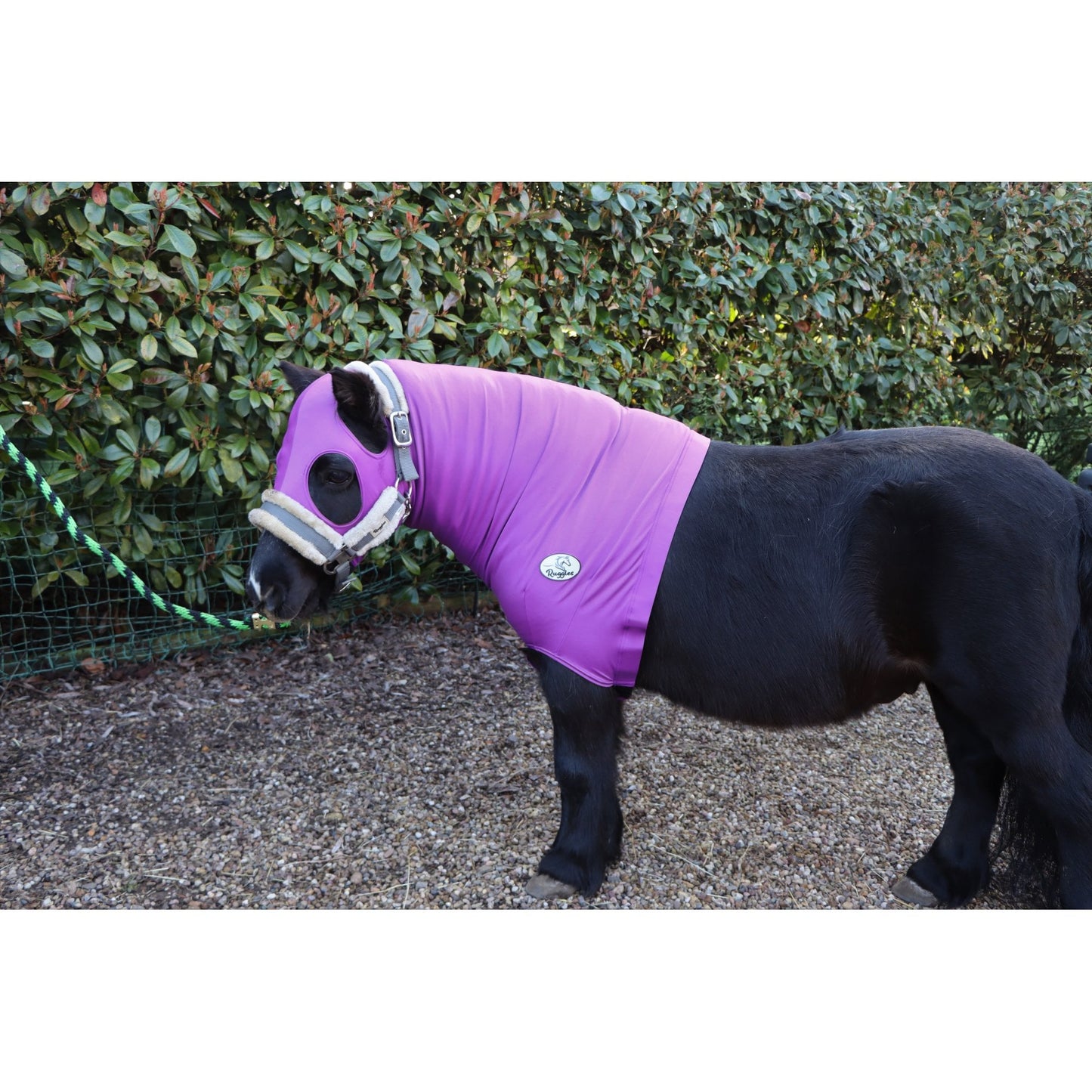 Shetland Lycra Hood With Zip
