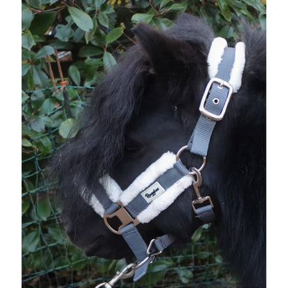 Shetland Head Collar With Contrast Fur