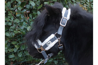 Shetland Head Collar With Contrast Fur