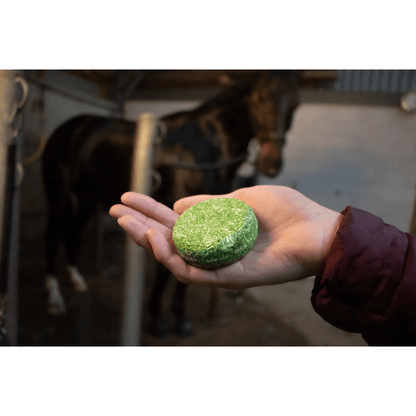 Eco Friendly Concentrated Shampoo Bar With Conditioner