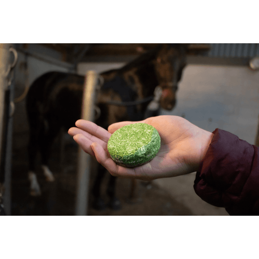 Eco Friendly Concentrated Shampoo Bar With Conditioner