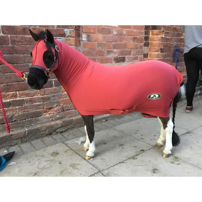 Miniature Horse Lycra Body Suit With Tail Cover