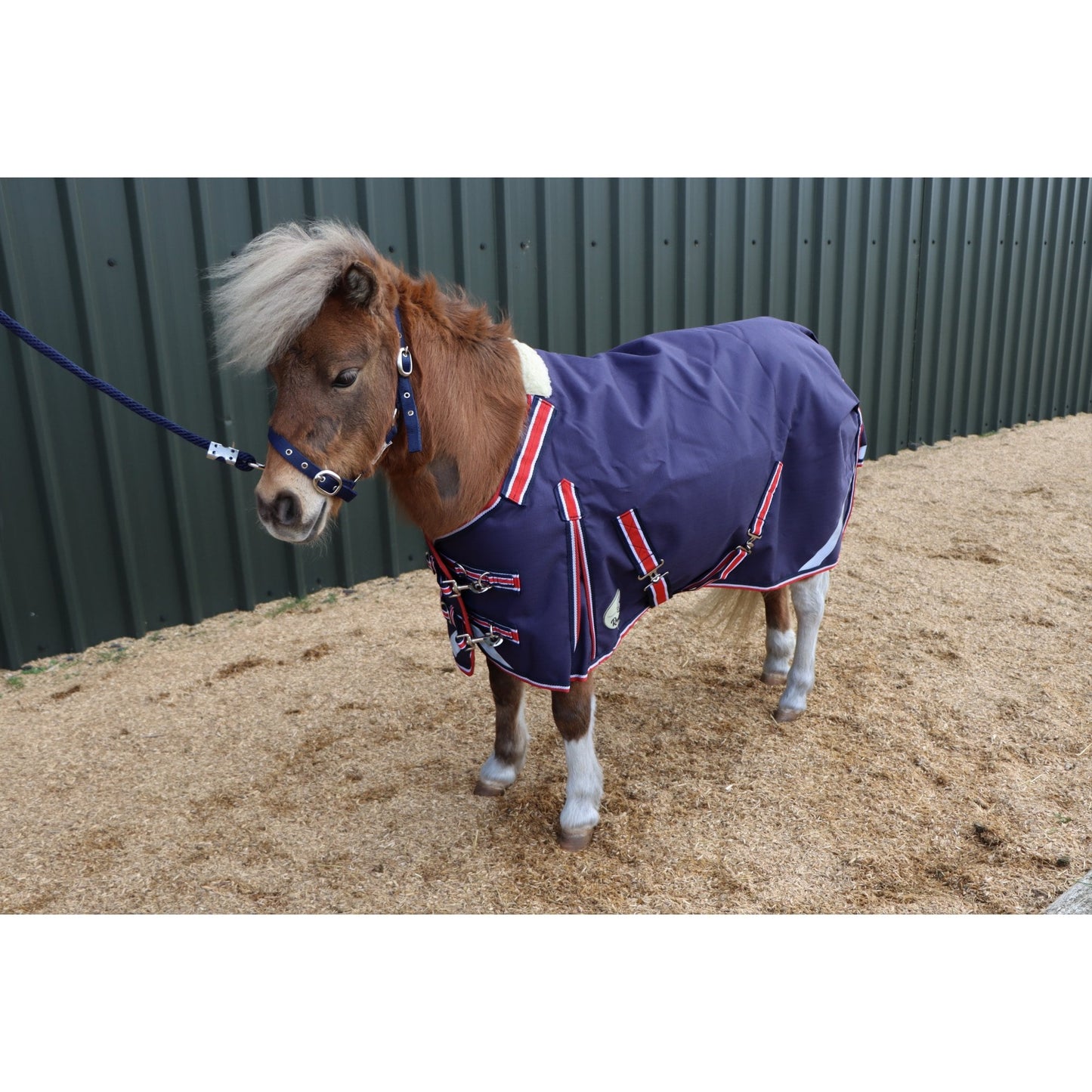 Shetland-Miniature-Donkey-Section A 50g V2 Turnout Rug
