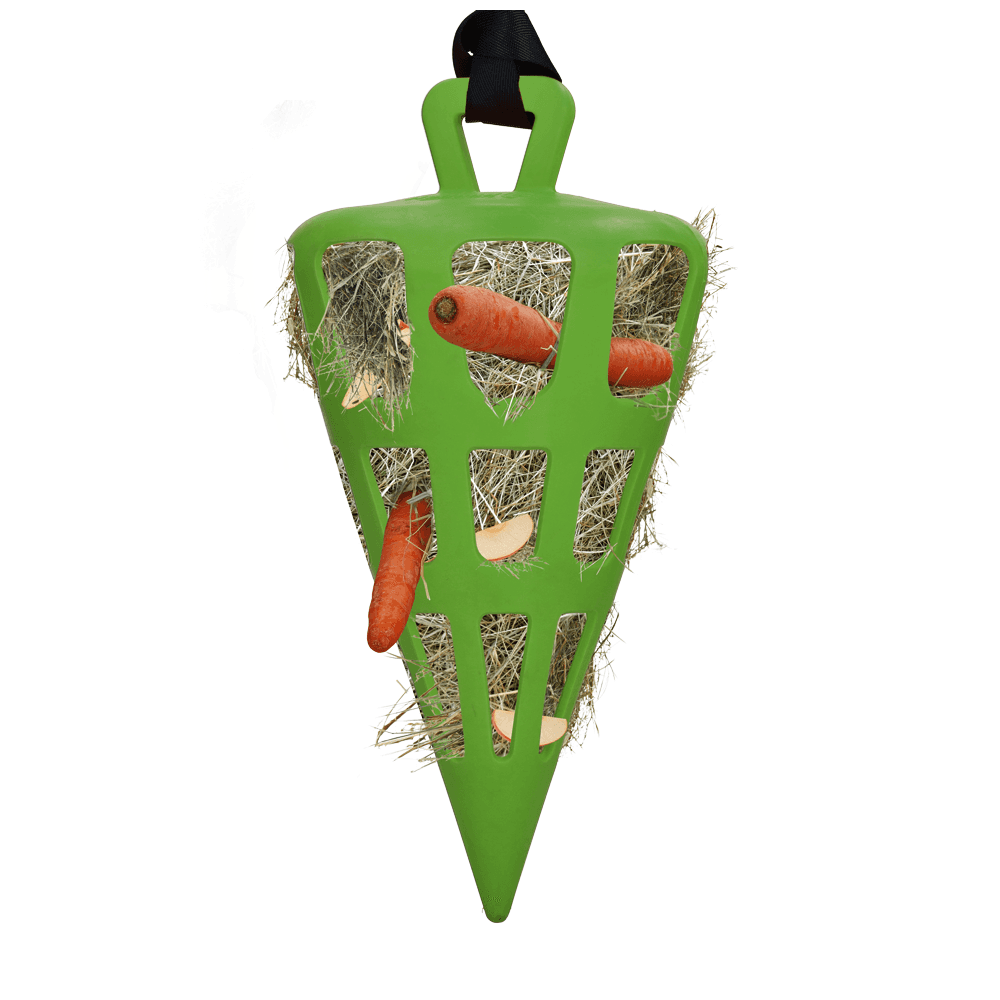 Hay Slow Feeder Fun and Flex Carrot