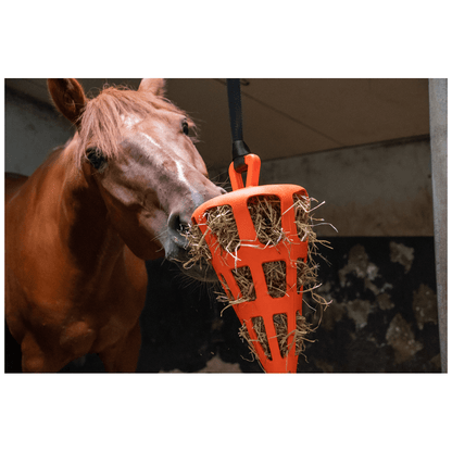 Hay Slow Feeder Fun and Flex Carrot