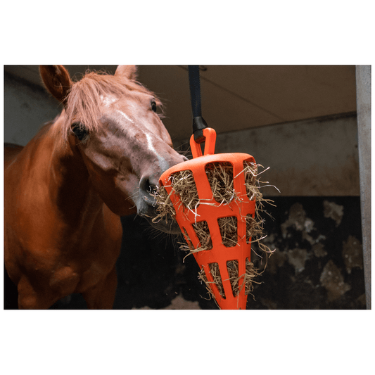 Hay Slow Feeder Fun and Flex Carrot