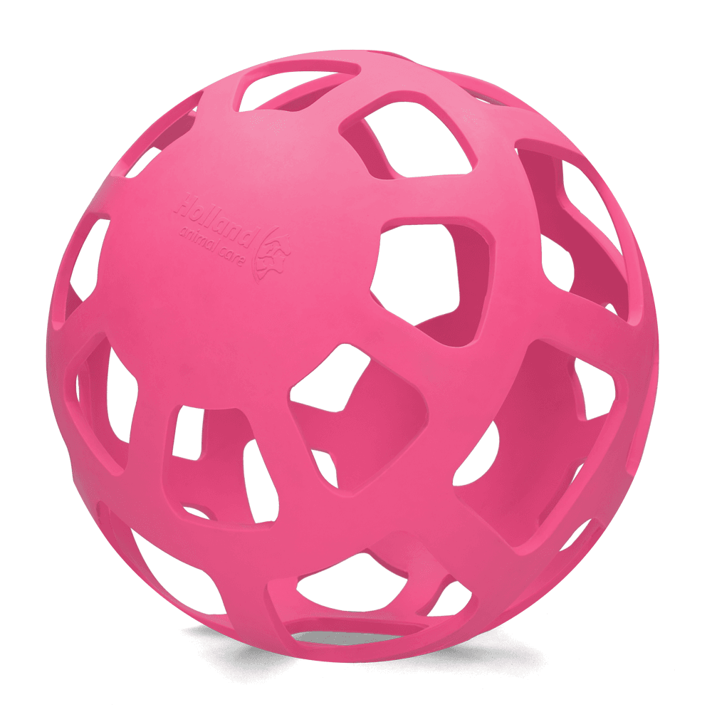 Hay Slow Feeder Fun and Flex 22cm Ball