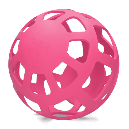 Hay Slow Feeder Fun and Flex 22cm Ball