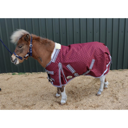 Shetland-Miniature-Donkey-Section A 100g V2 Turnout Rug