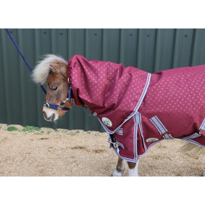 Shetland-Miniature-Donkey-Section A 100g V2 Neck Cover Only (Matching Rug Available Separately)