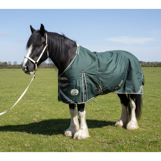 Heavy Horse Lightweight V2 Turnout Rug