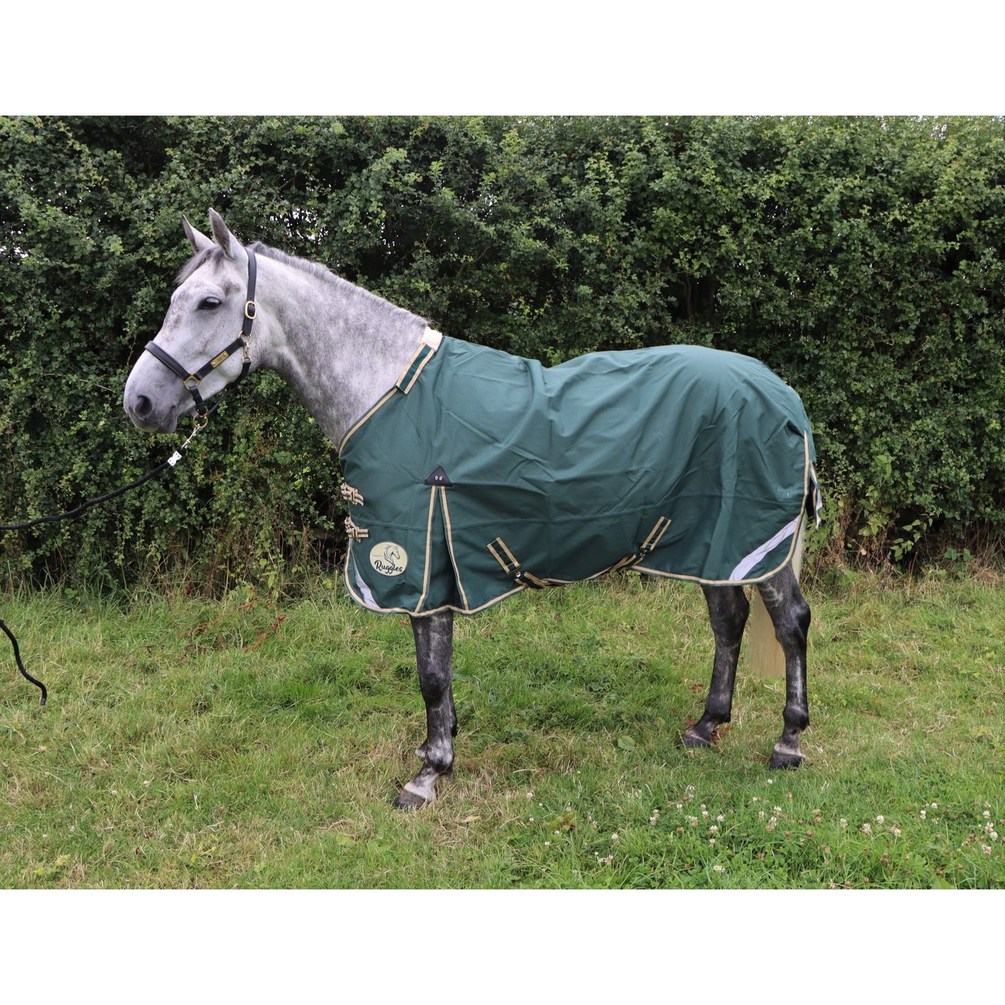 Lightweight 1200D No Fill V2 Standard Turnout Rug