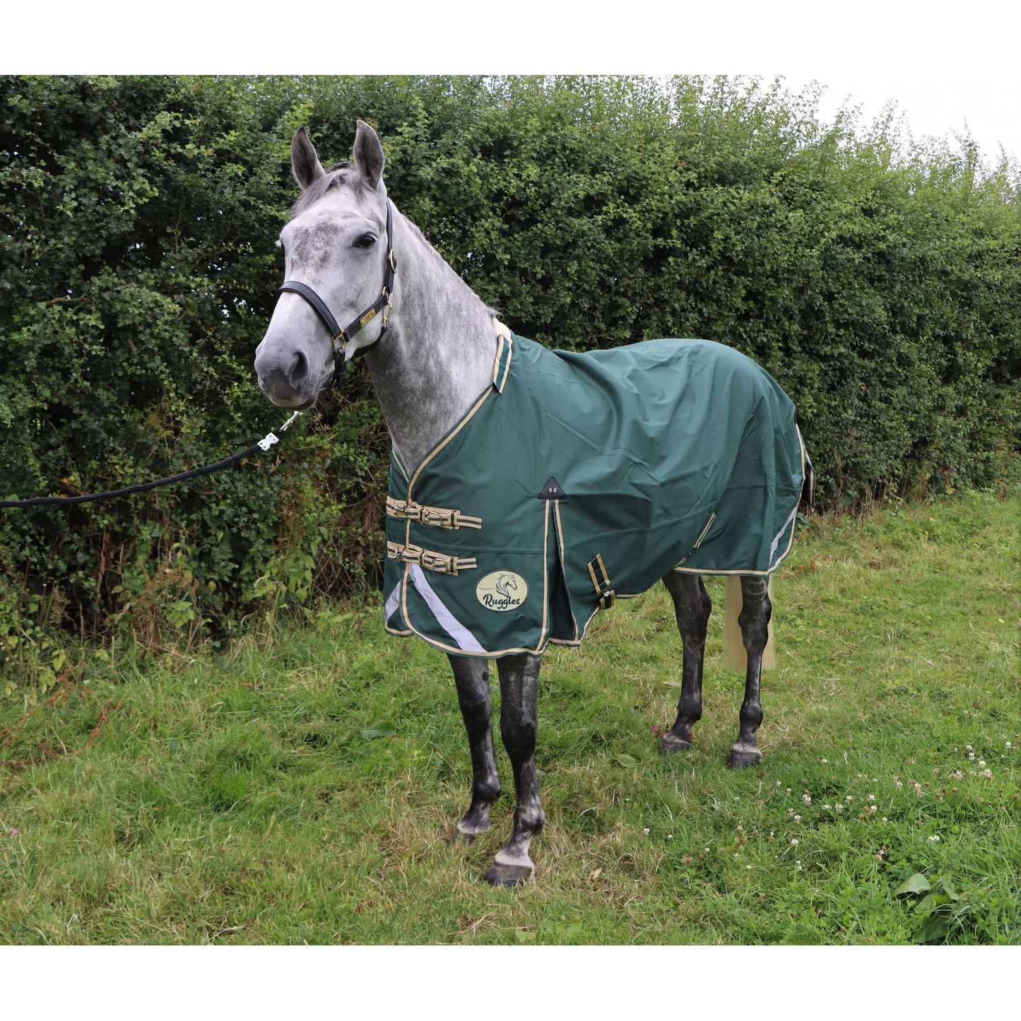 Lightweight 1200D No Fill V2 Standard Turnout Rug