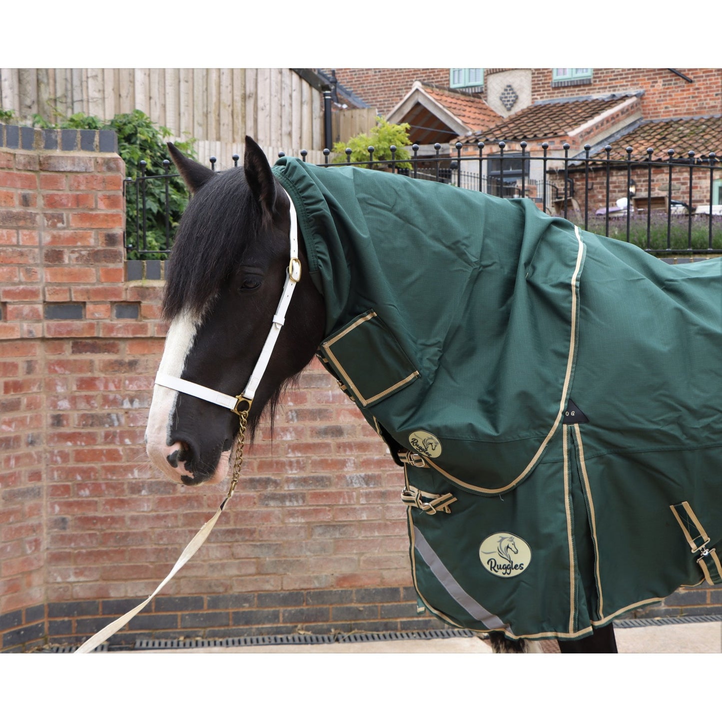 Heavy Horse Lightweight V2 Neck Cover Only (Matching Rug Available Separately)