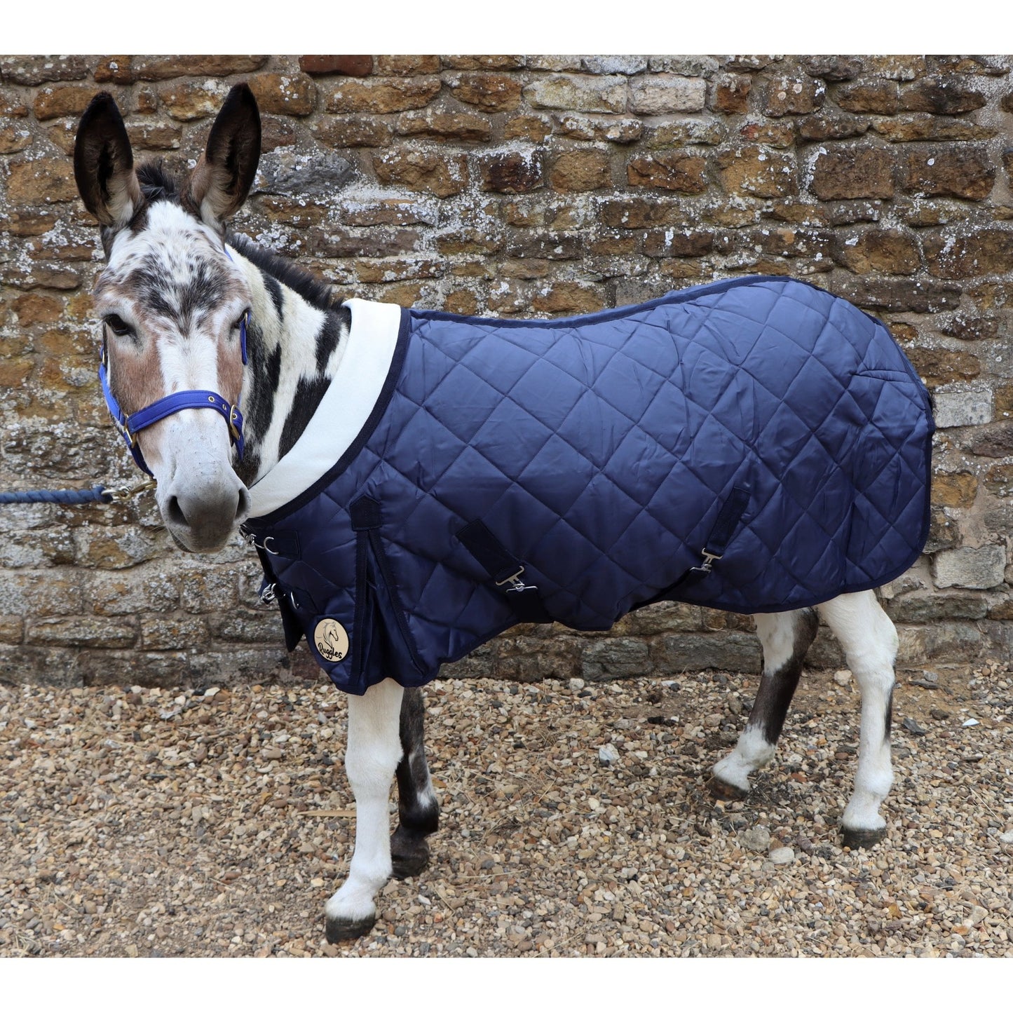 Shetland-Miniature-Donkey-Section A 200g Stable Rug With Collar
