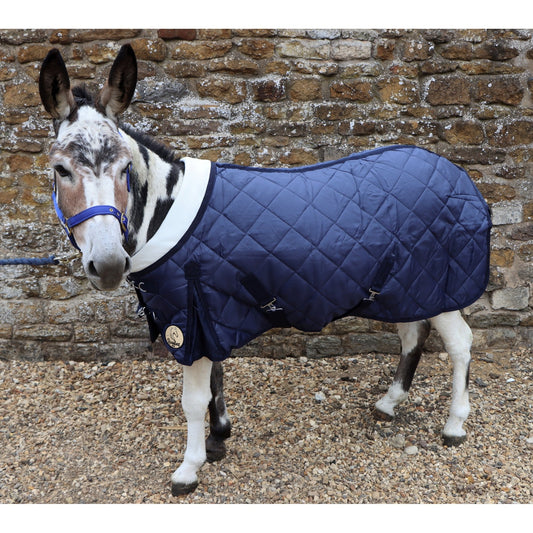 Shetland-Miniature-Donkey-Section A 200g Stable Rug With Collar