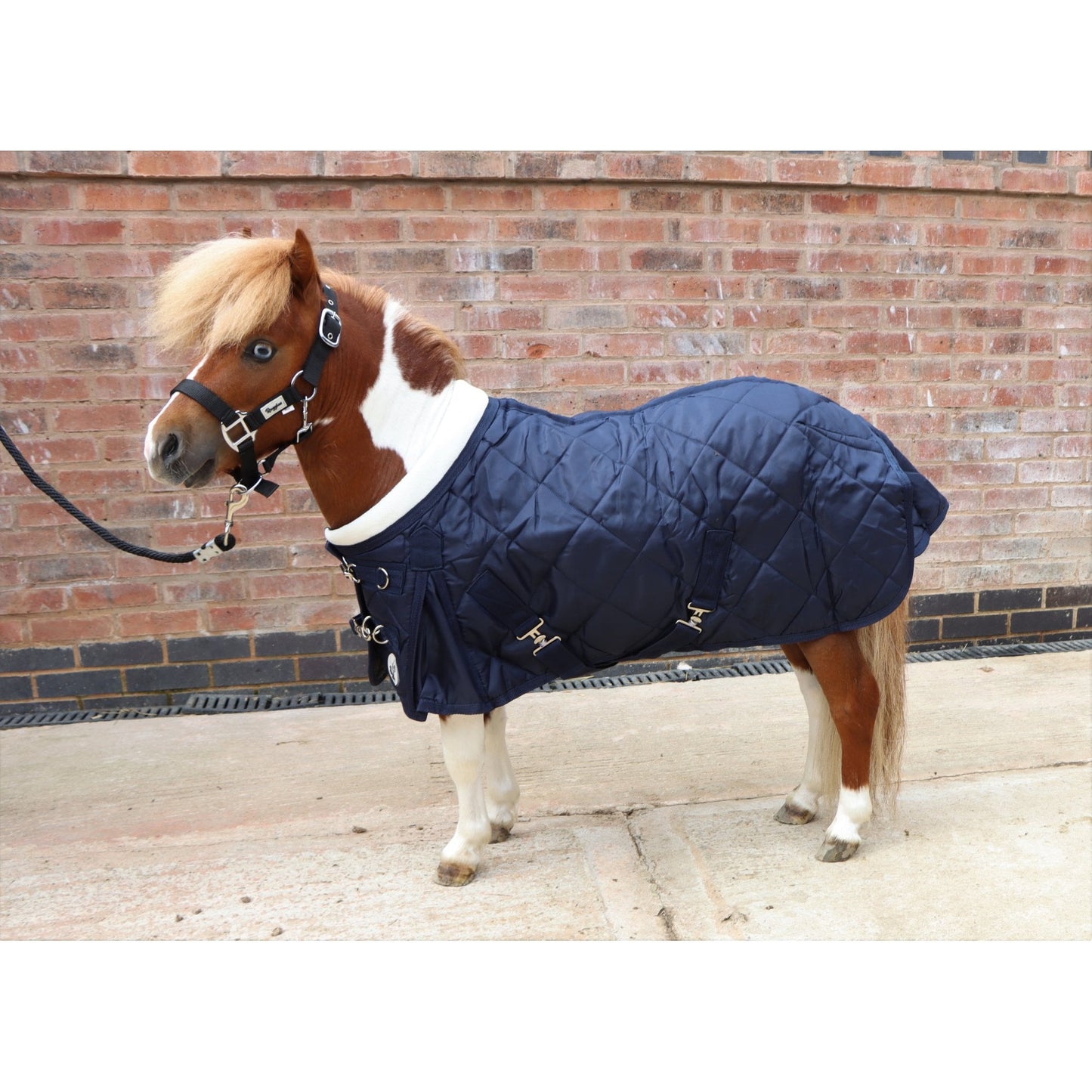 Shetland-Miniature-Donkey-Section A 200g Stable Rug With Collar