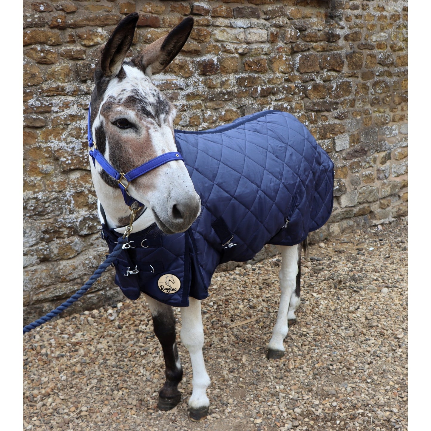Shetland-Miniature-Donkey-Section A 200g Stable Rug With Collar