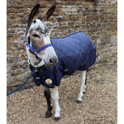 Shetland-Miniature-Donkey-Section A 200g Stable Rug With Collar