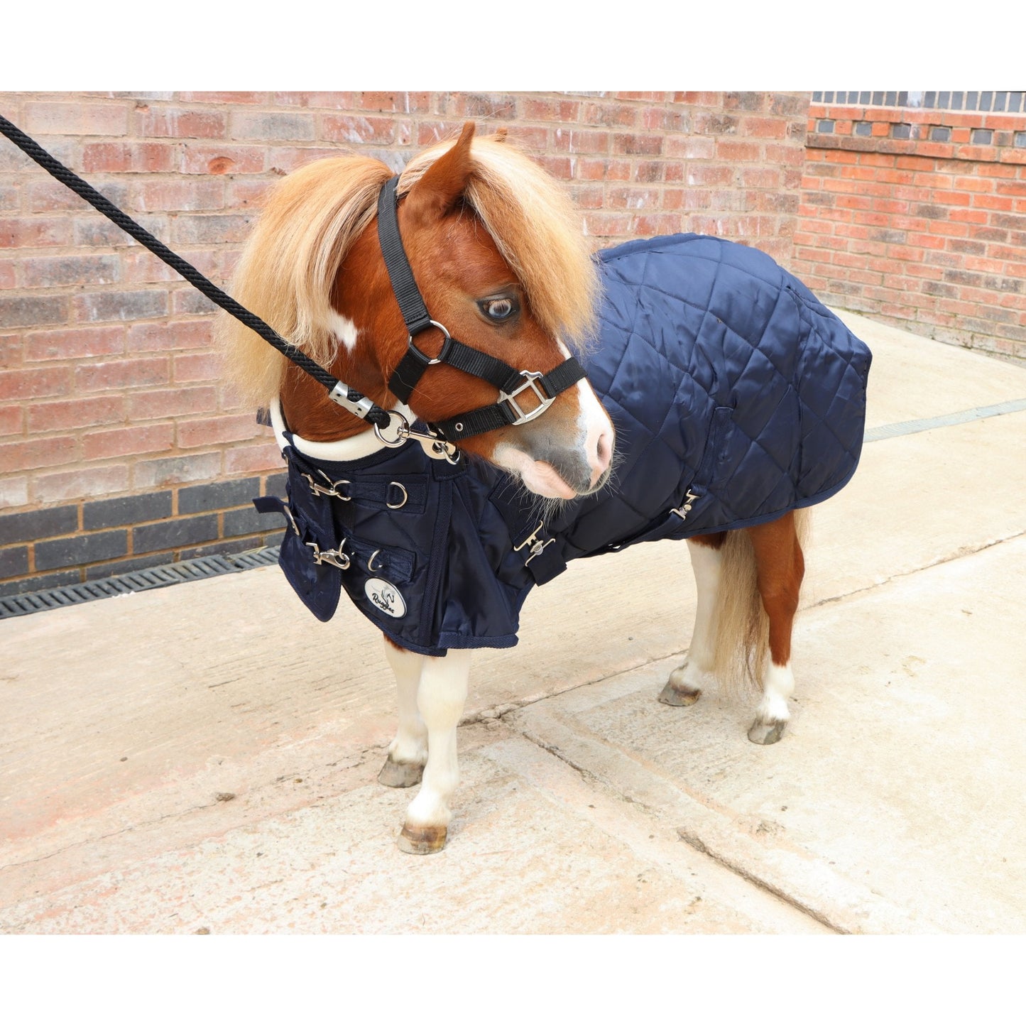 Shetland-Miniature-Donkey-Section A 200g Stable Rug With Collar