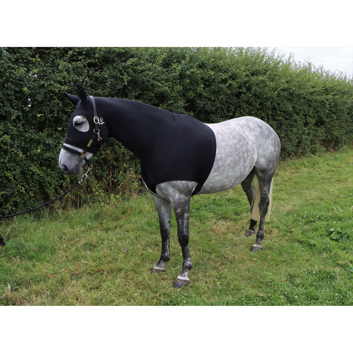 Water Repellent Lycra Hood With Zip