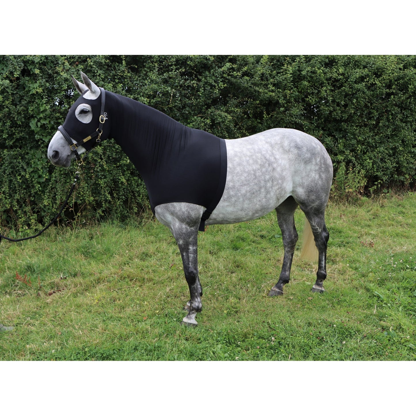 Water Repellent Lycra Hood With Zip