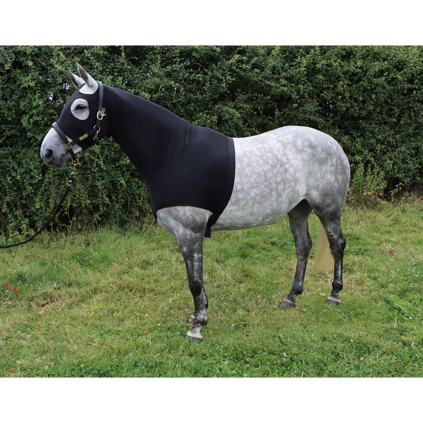 Water Repellent Lycra Hood With Zip