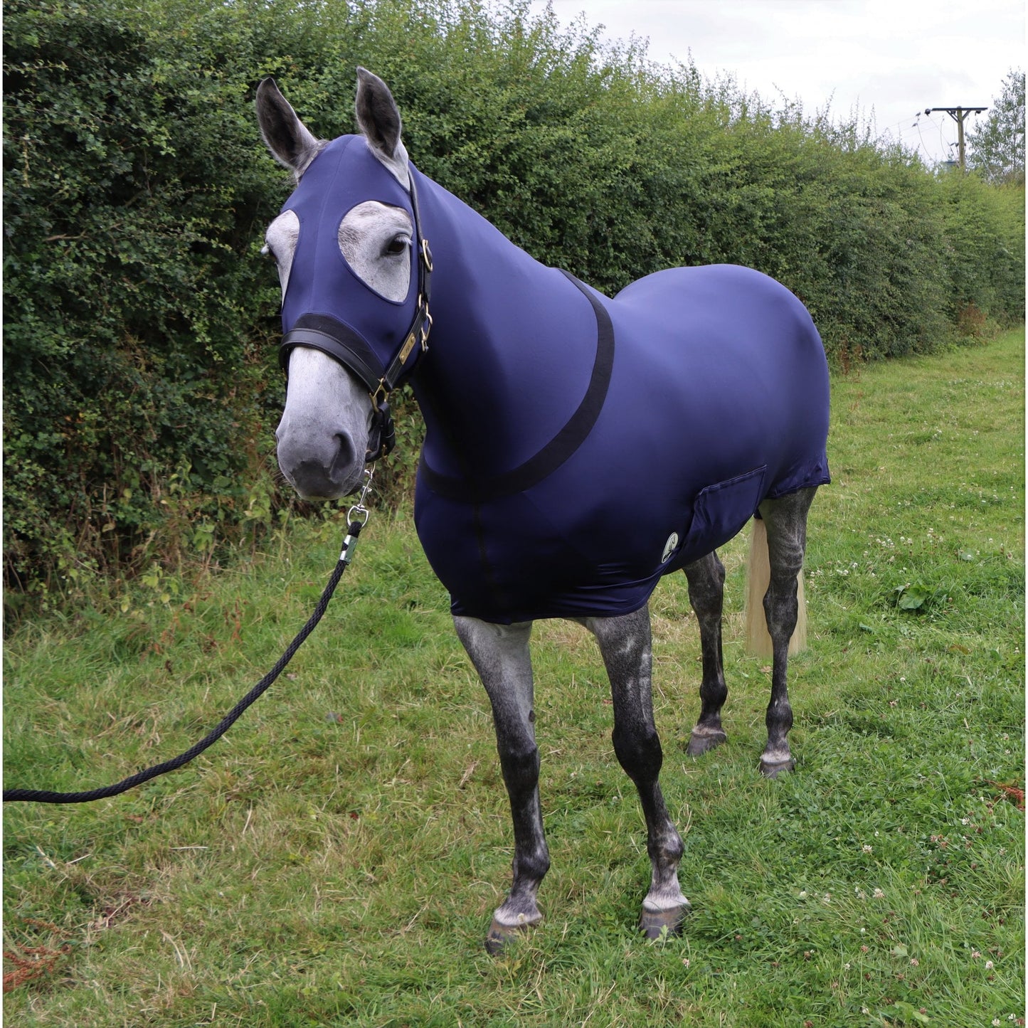 Water Repellent Lycra Body With Tail Sleeve And Full Length Zip