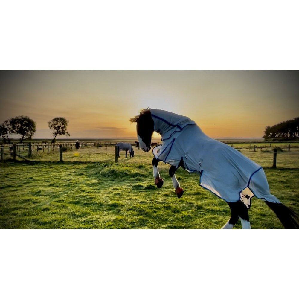 Standard Fly Rug With Detachable Neck