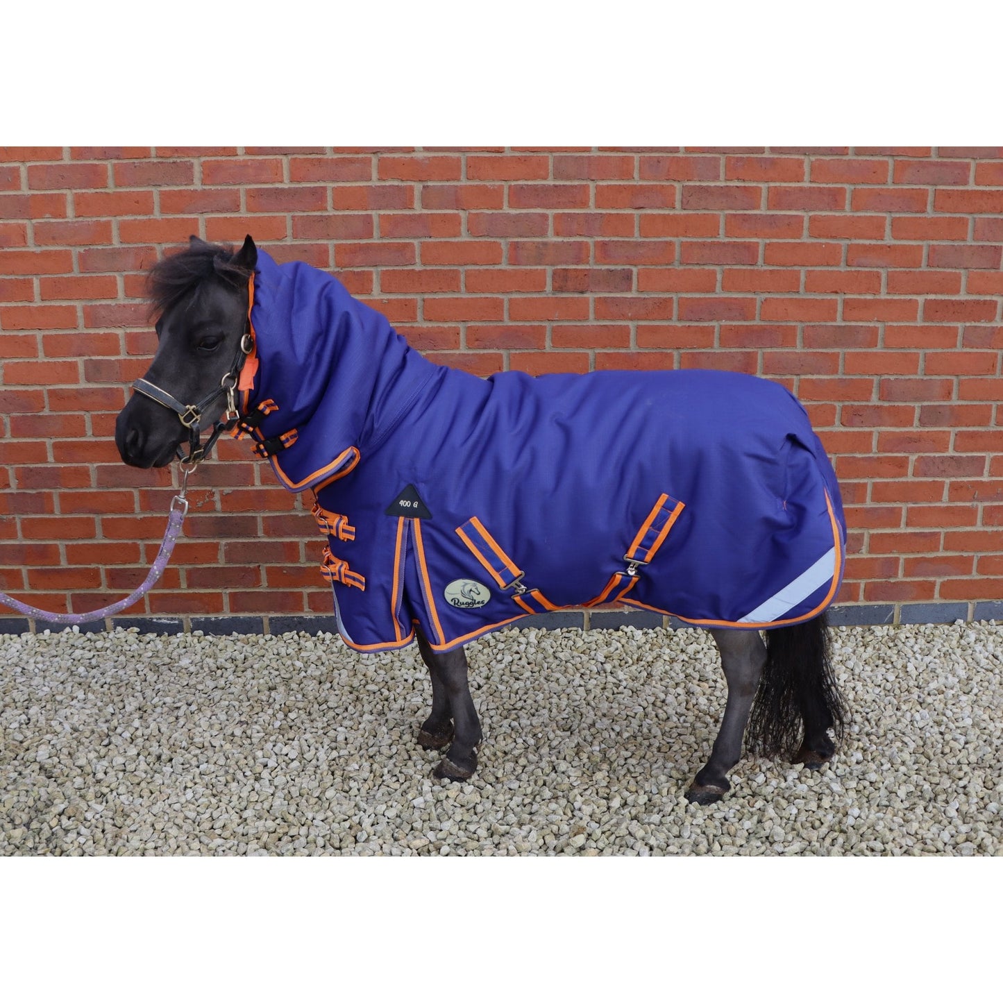 Shetland-Miniature-Donkey-Section A 400g Heavyweight 1200D Combo Turnout