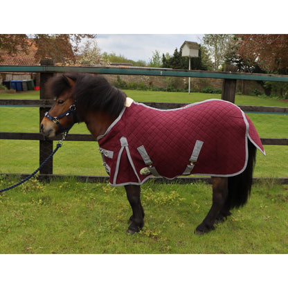 Shetland-Miniature-Donkey Triple Layer Wicking Rug