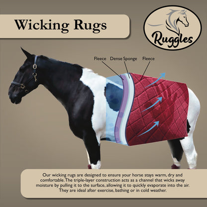 Shetland-Miniature-Donkey Triple Layer Wicking Rug
