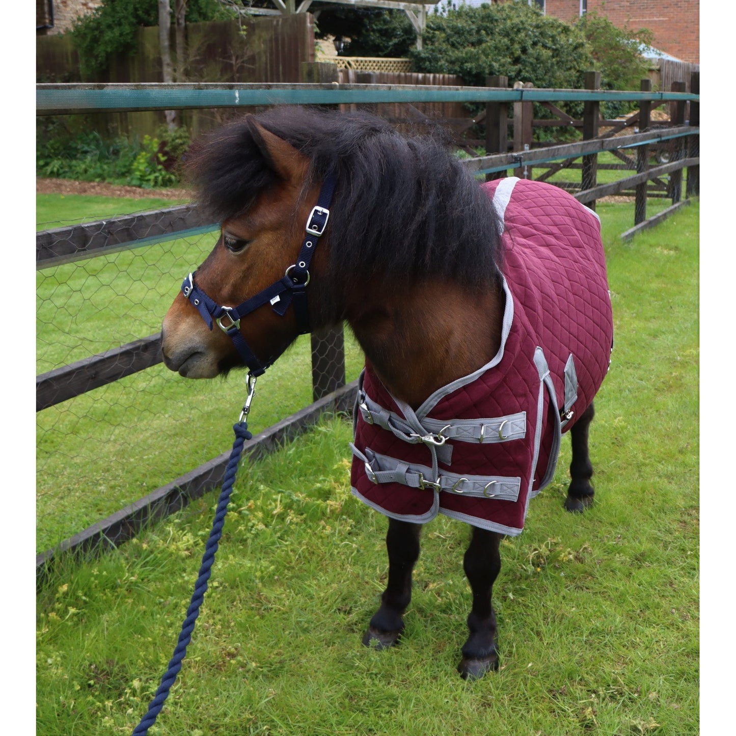 Shetland-Miniature-Donkey Triple Layer Wicking Rug