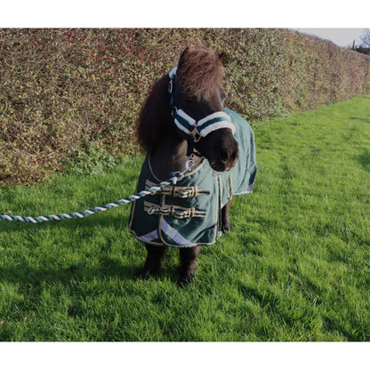 Shetland-Miniature-Donkey-Section A V2 Lightweight No Fill Turnout Rug