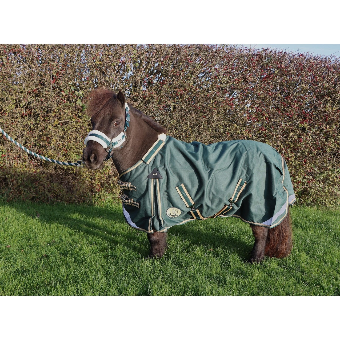 Shetland-Miniature-Donkey-Section A V2 Lightweight No Fill Turnout Rug