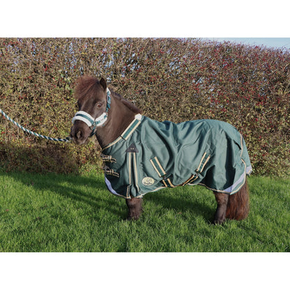 Shetland-Miniature-Donkey-Section A V2 Lightweight No Fill Turnout Rug