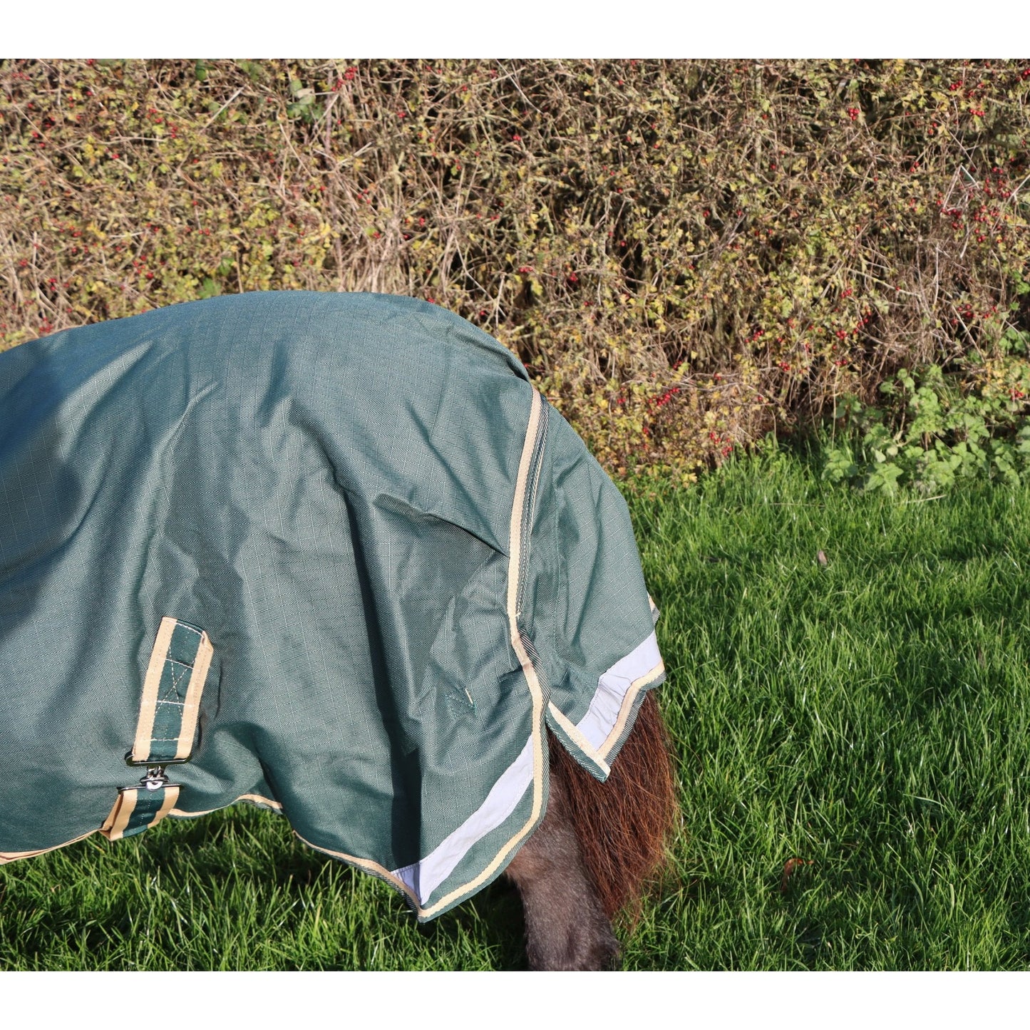 Shetland-Miniature-Donkey-Section A V2 Lightweight No Fill Turnout Rug