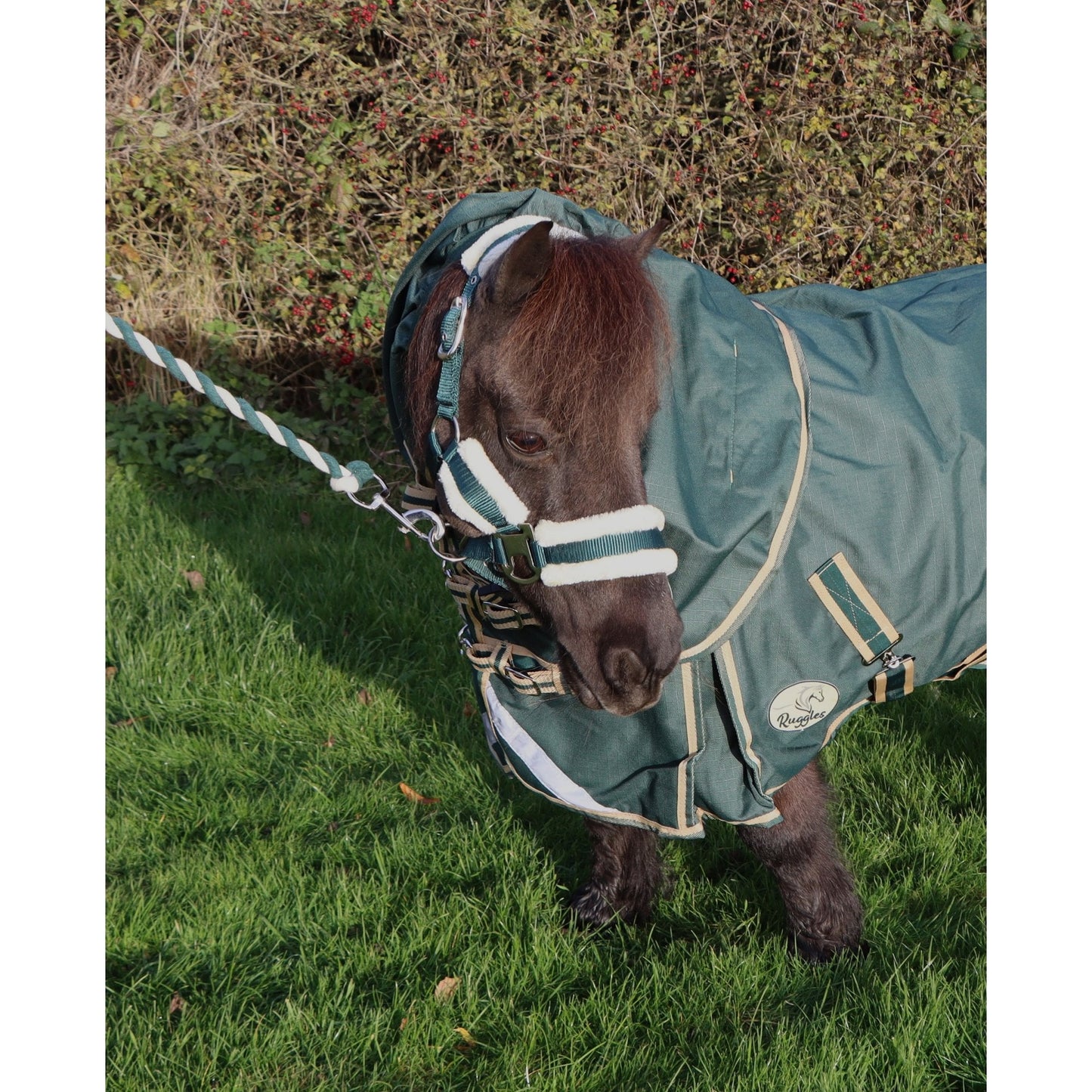 Shetland-Miniature-Donkey-Section A V2 Lightweight No Fill Neck Cover Only (Matching Rug Available Separately)