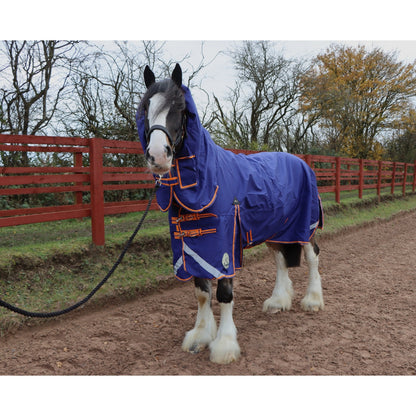 Heavy Horse Heavyweight 400g 1200D Combo Turnout Rug