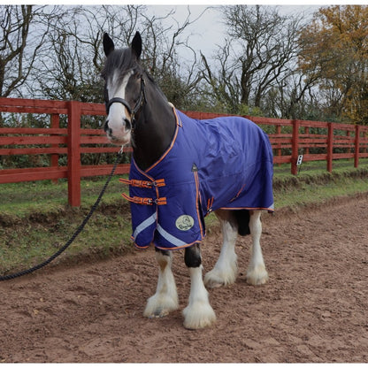 Heavy Horse Heavyweight 400g V2 1200D Turnout Rug