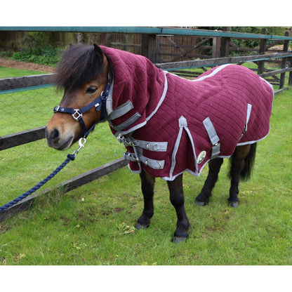 Shetland-Miniature-Donkey Combo Wicking Rug