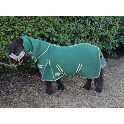 Shetland-Miniature-Donkey Combo Wicking Rug