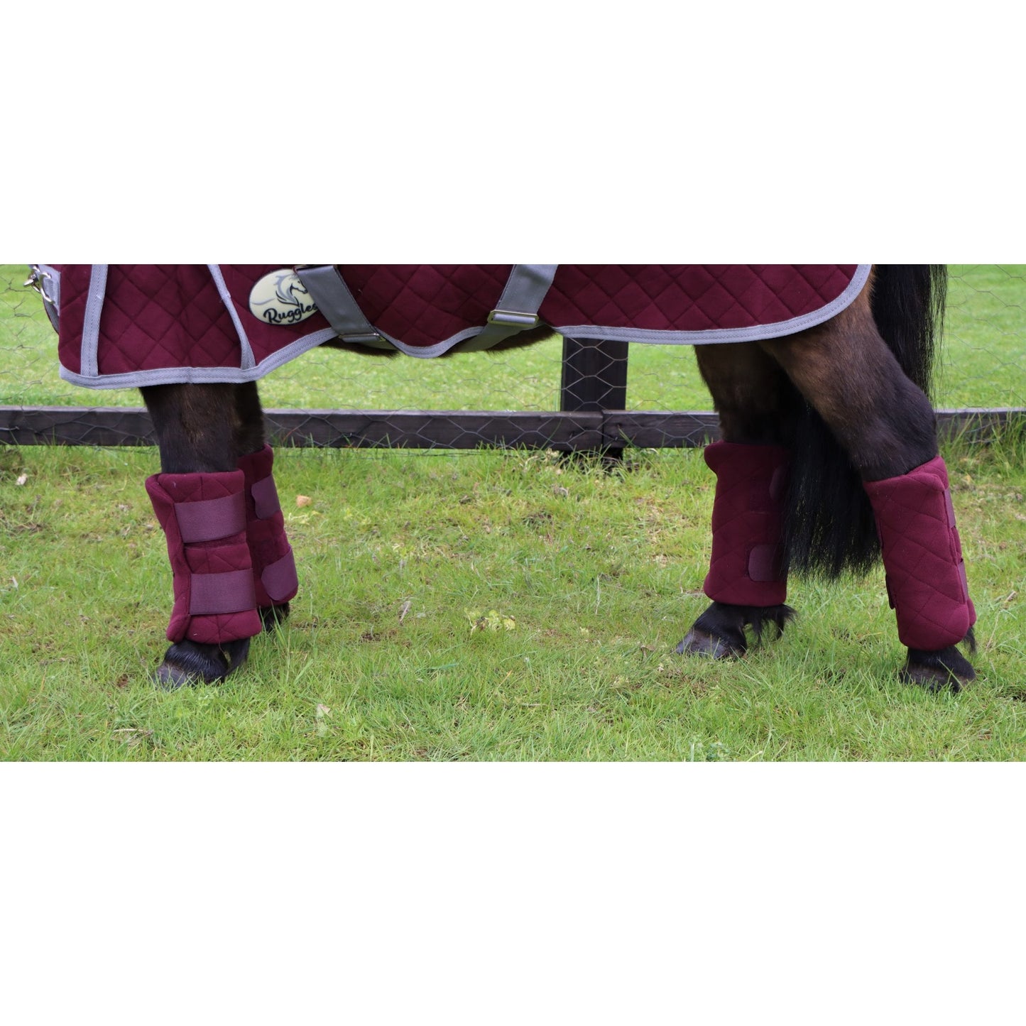 Shetland-Miniature-Donkey Triple Layer Wicking Leg Wrap Set