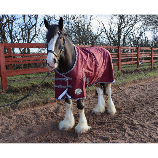 Heavy Horse 100g 1200D V2 Turnout Rug